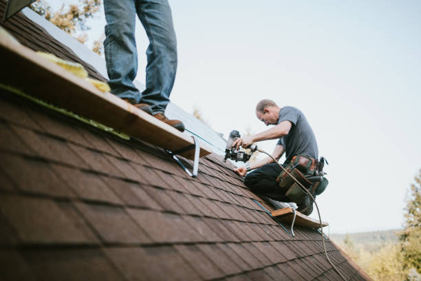 Best Storm Damage Roof Repair  in Buckhannon, WV