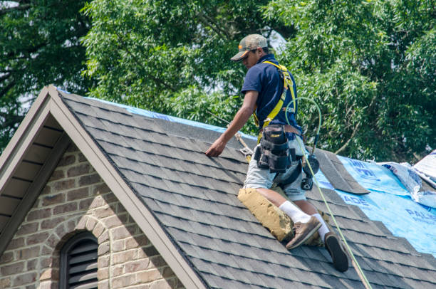 Best New Roof Installation  in Buckhannon, WV